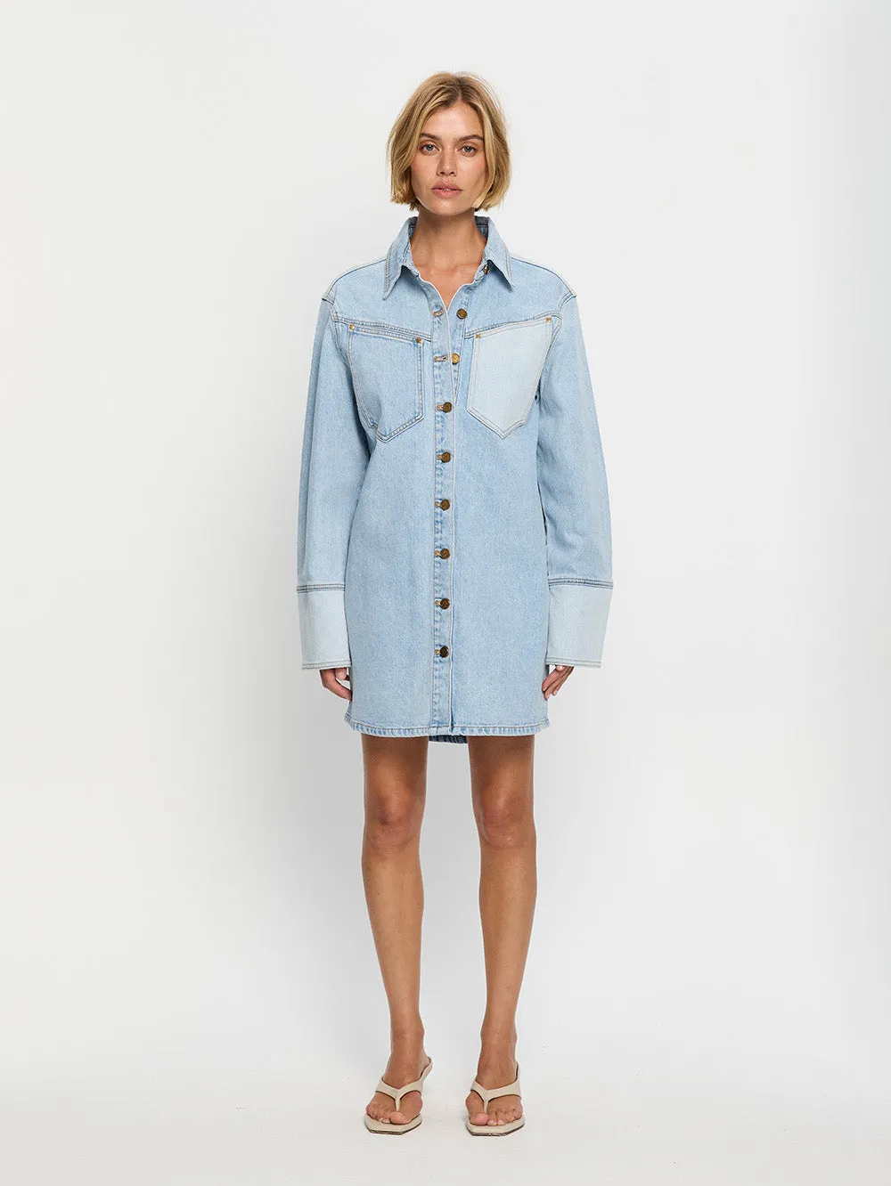 Carla Denim Mini Dress
