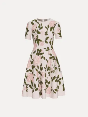 English Rose Jacquard Dress