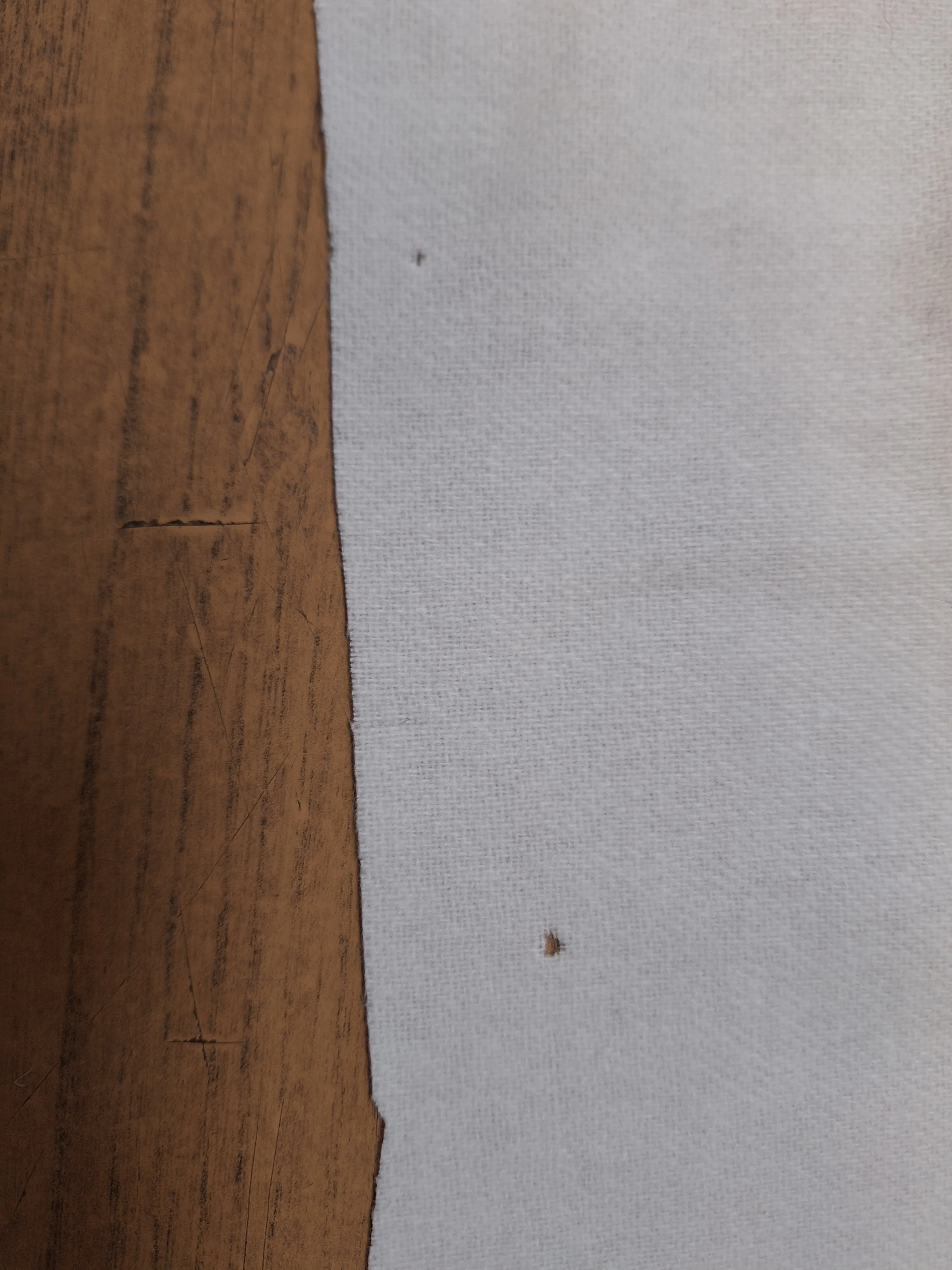 Fabric Scraps