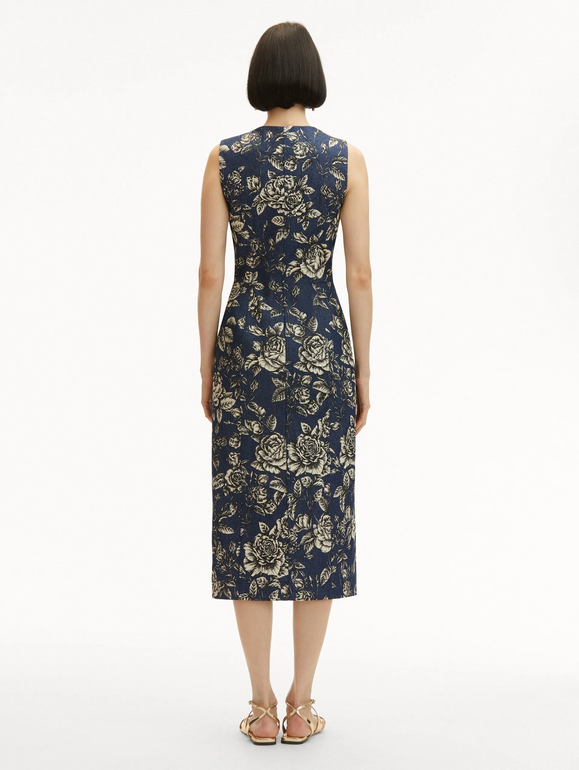 Rose Printed Denim Dress
