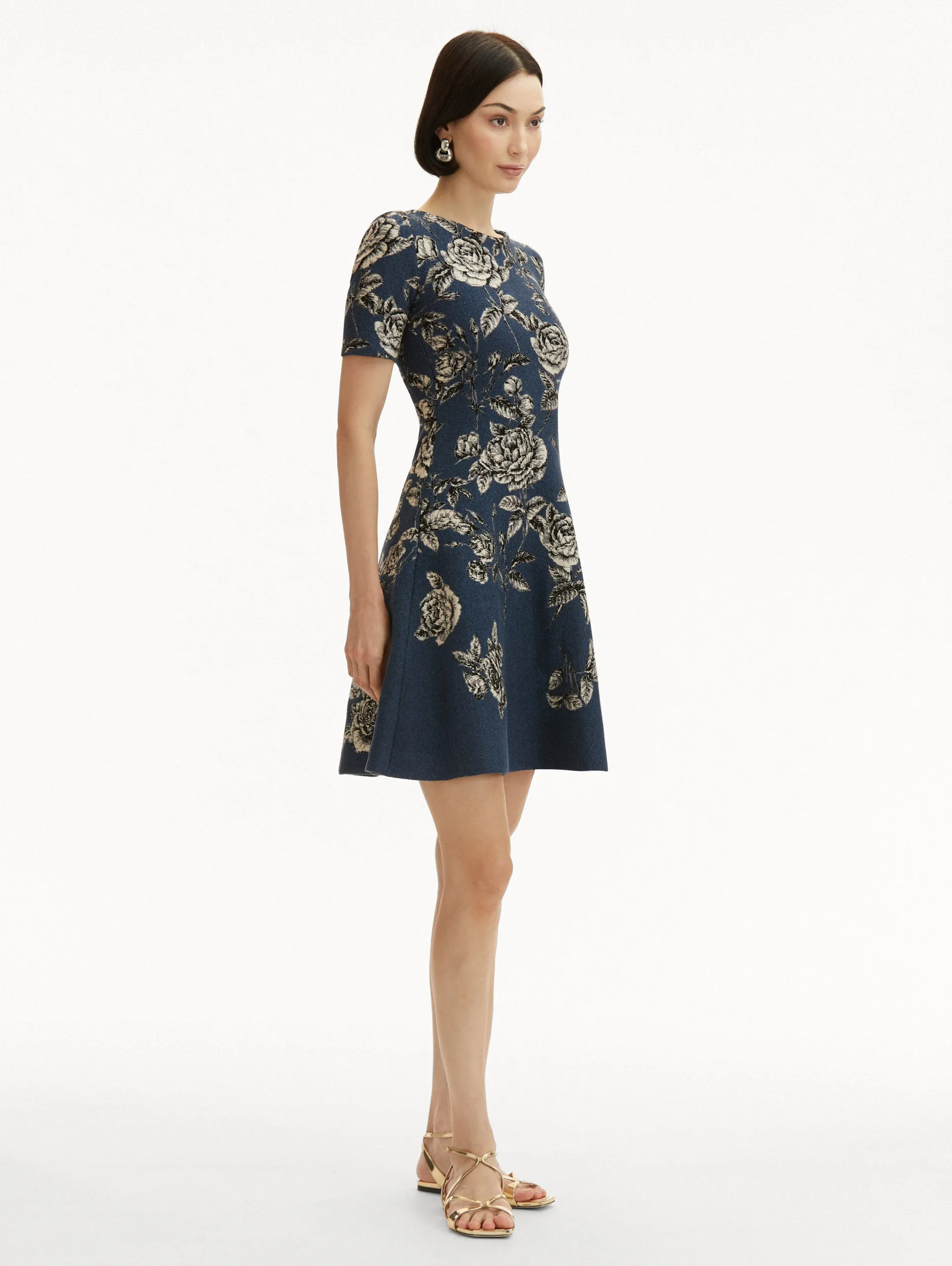 Rose Printed Jacquard Dress