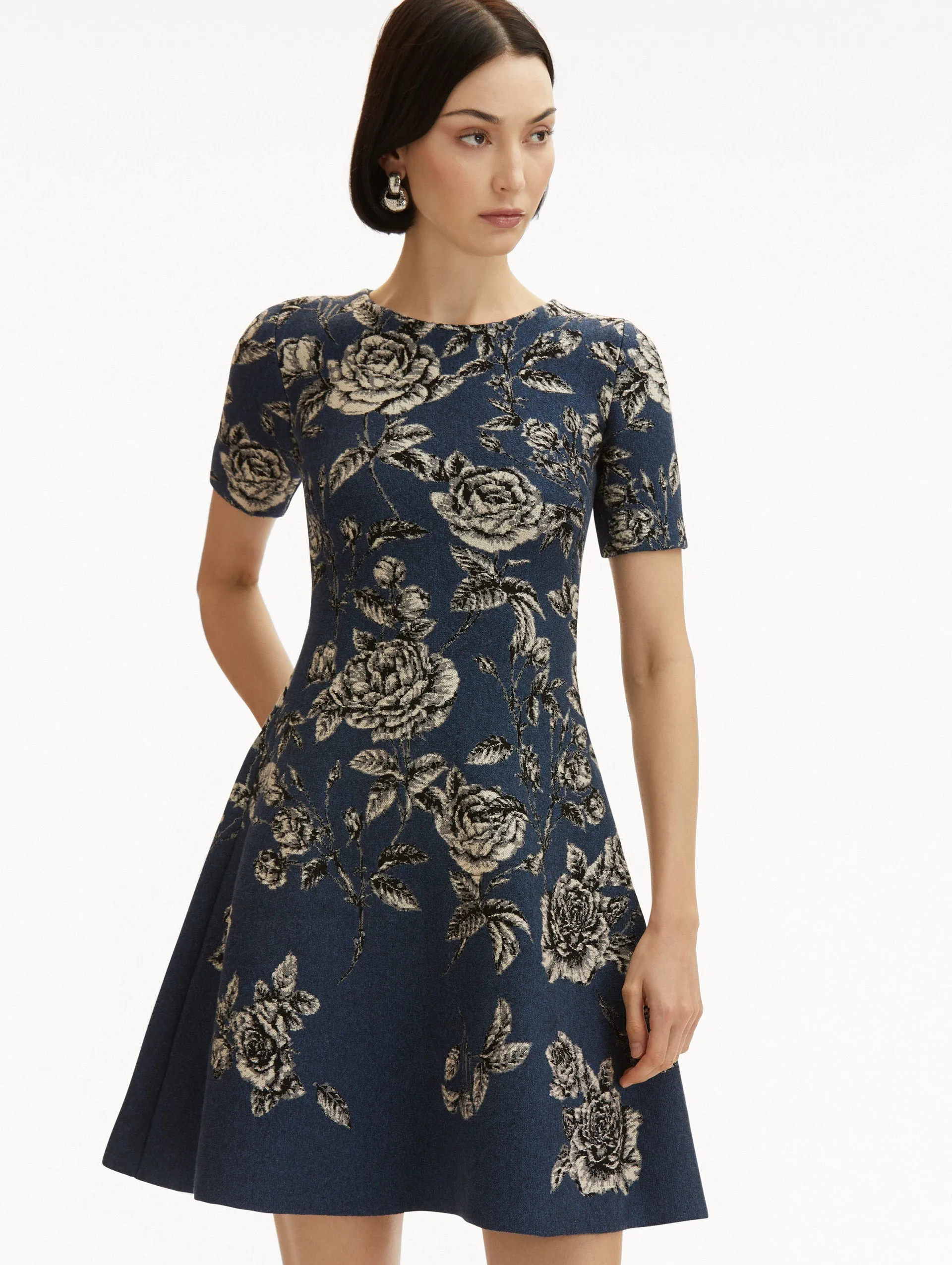 Rose Printed Jacquard Dress