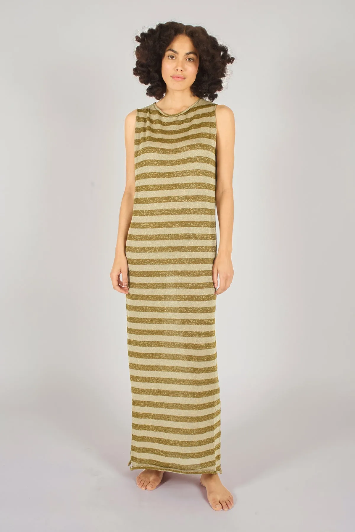 Summer Madness Tarnish Stripe Dress