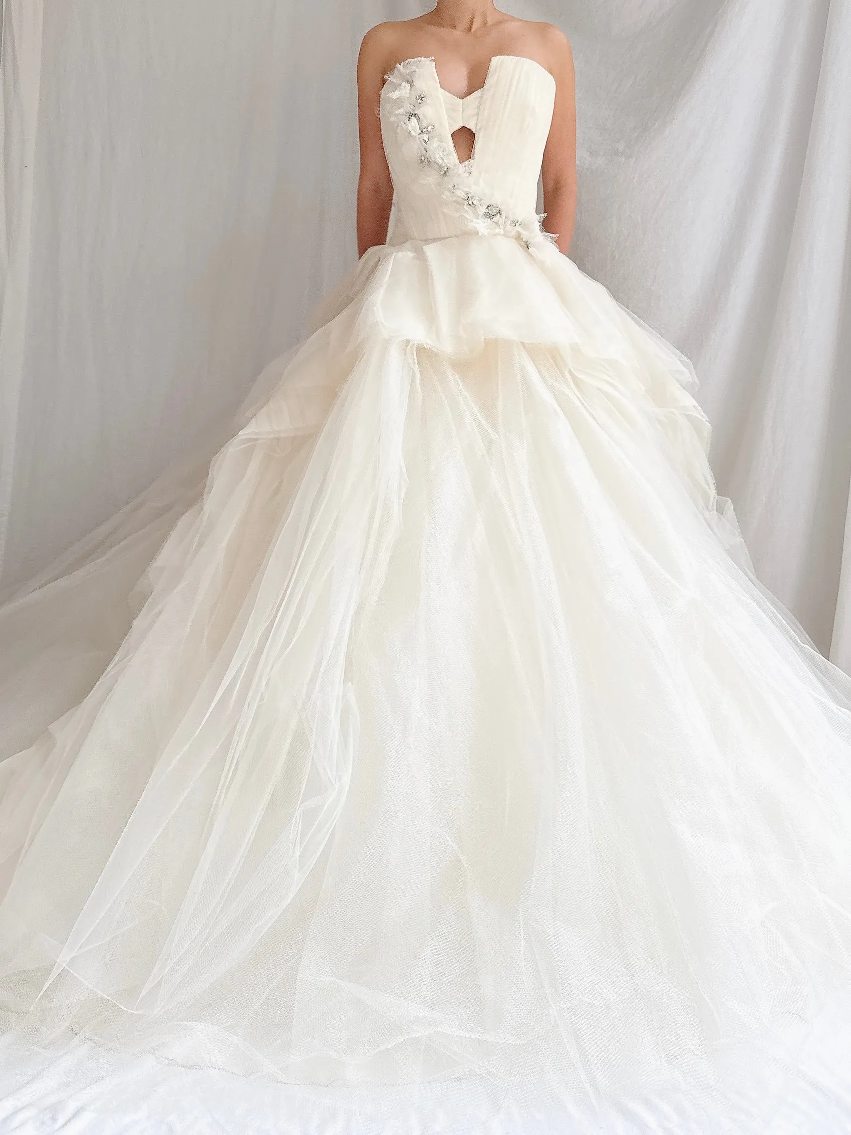 Vera Wang Silk and Tulle Gown - S/M/6/8